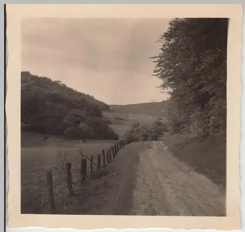 (F20033) Orig. Foto Partie im Eggegebirge 1953