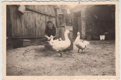 (F19979) Orig. Foto junge Frau a.d. Bauernhof, Handpumpe, Gänse 1950er