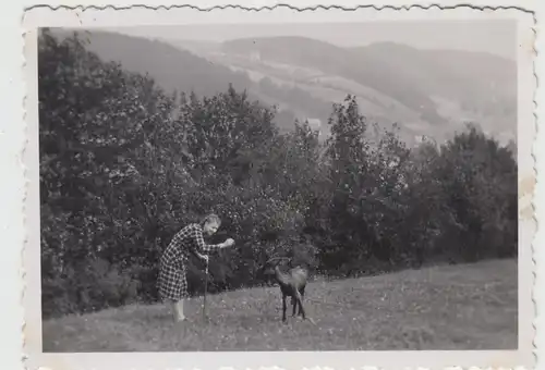 (F19972) Orig. Foto junge Frau m. Wanderstock nähert sich Ziege 1950