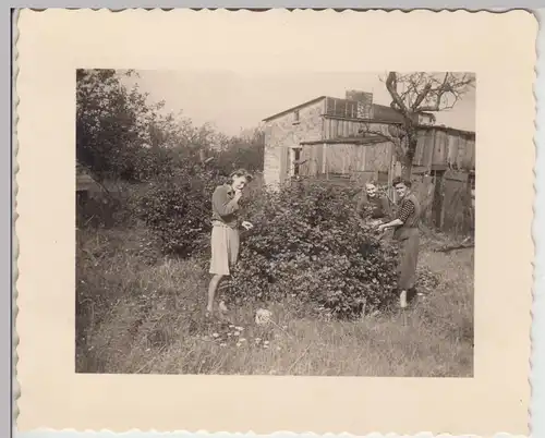(F19934) Orig. Foto Personen an einem Busch im Garten 1941