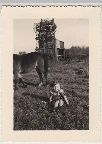 (F19860) Orig. Foto Marchienne-au-Pont, Kind m. Pferd an Abraumhalde 1952