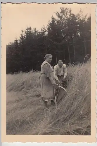 (F19691) Orig. Foto Getreideernte mit der Sense, Zwernberg 1938