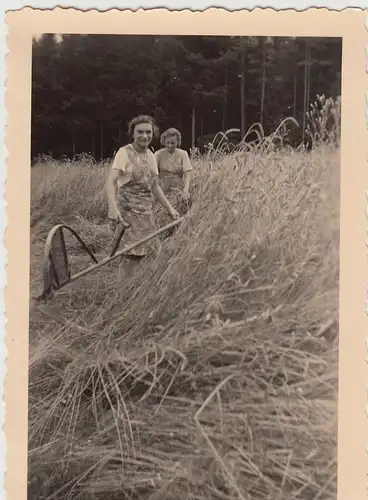 (F19690) Orig. Foto Getreideernte mit der Sense, Zwernberg 1938