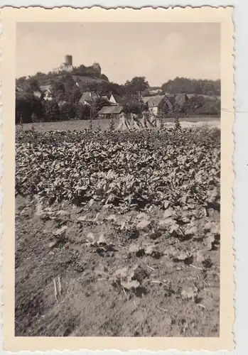 (F19683) Orig. Foto Burgthann, Blick über Feld nach Burg Thann 1938