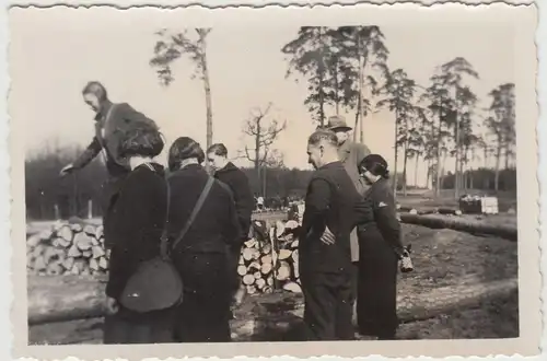 (F19637) Orig. Foto Personen balancieren auf Baumstämmen 1935