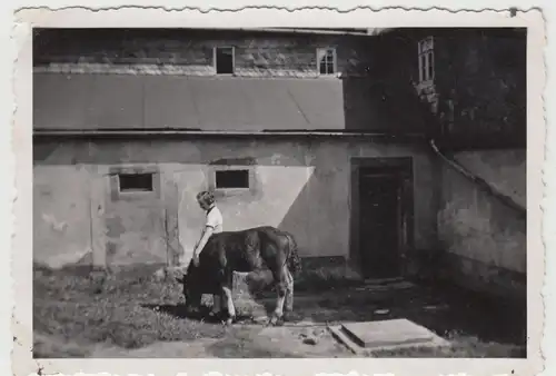 (F19453) Orig. Foto junge Frau mit Pferd am Haus 1930/40er