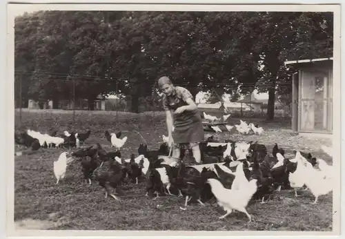 (F19398) Orig. Foto Frau füttert Hühner in Wöltingerode Vienenburg 1929