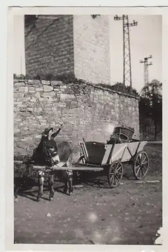 (F19367) Orig. Foto Wöltigerode Vienenburg, Eselskarren an einem Turm 1928