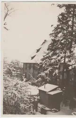 (F19356) Orig. Foto Wöltigerode Vienenburg, Winteridylle 1928