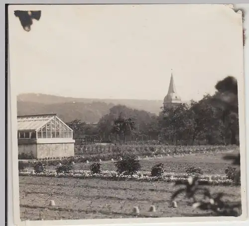 (F19352) Orig. Foto Kloster Wöltigerode, Beete im Garten 1928