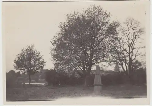 (F19339) Orig. Foto Kloster Wöltigerode, Nonnenfriedhof 1928