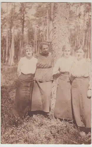 (F19264) Orig. Foto Frauen im Wald, Spaziergang 1920er