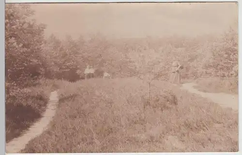 (F19195) Orig. Foto Personen in der Natur, Wanderung 1910/20er