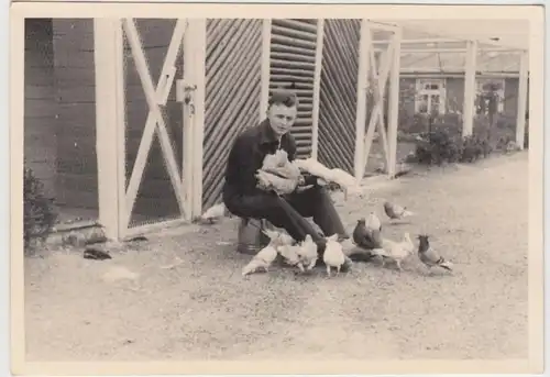 (F19007) Orig. Foto R.A.D.-Lager Dietzhausen, Taubenschlag im Gelände 1939