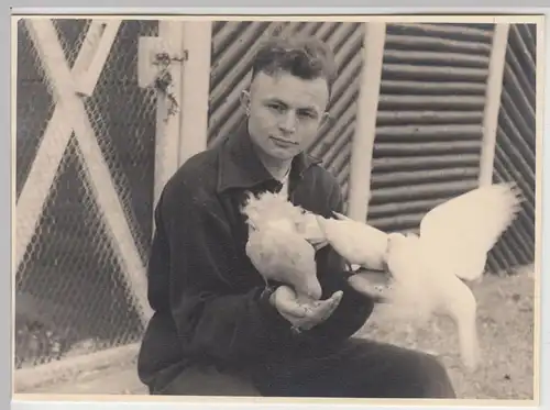 (F19006) Orig. Foto R.A.D.-Lager Dietzhausen, Taubenschlag im Gelände 1939