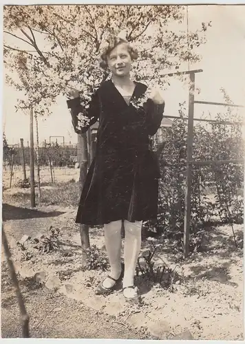 (F18839) Orig. Foto junge Frau am Obstbaum im Garten 1920/30er