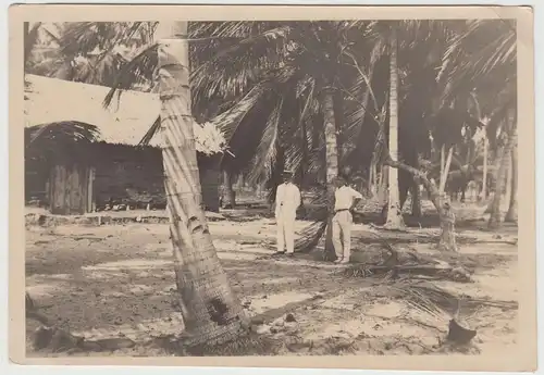(F18786) Orig. Foto Männer zwischen Palmen, Südamerika 1928