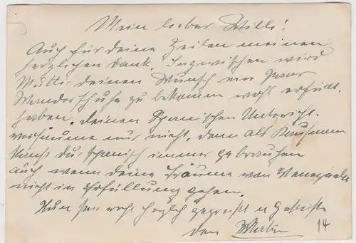 (F18786) Orig. Foto Männer zwischen Palmen, Südamerika 1928