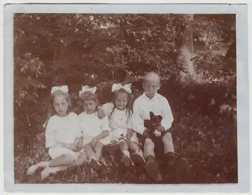 (F18754) Orig. Foto Kinder mit Hund sitzen im Gras 1921