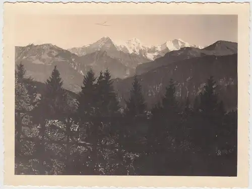 (F18689) Orig. Foto Jungfrau-Gruppe 1935, Schreckhorn Eiger Mönch