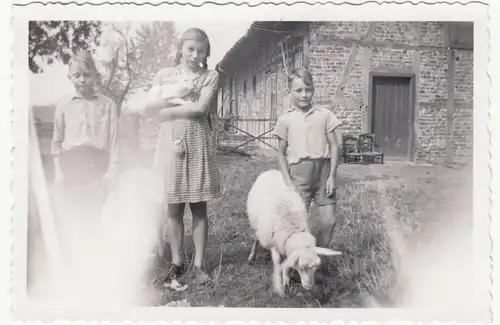 (F18632) Orig. Foto Kinder mit Lämmlein an Scheune 1930/40er