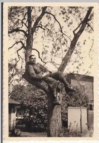(F18598) Orig. Foto deutscher Soldat sitzt im Baum 1939