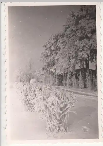 (F18518) Orig. Foto Winterlandschaft in Karstädt (Prignitz) 1930er