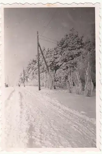 (F18516) Orig. Foto Winterweg nach Karstädt (Prignitz) 1930er