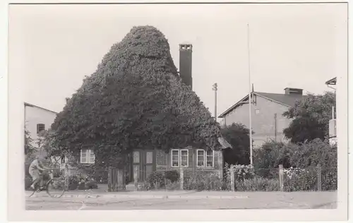 (F18488) Orig. Foto Dahme (Holstein), Haus m. bewachsenem Dach 1939