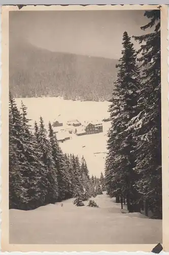(F18344) Orig. Foto Winterlandschaft, vermutl. bei Neuschwanstein 1935/36