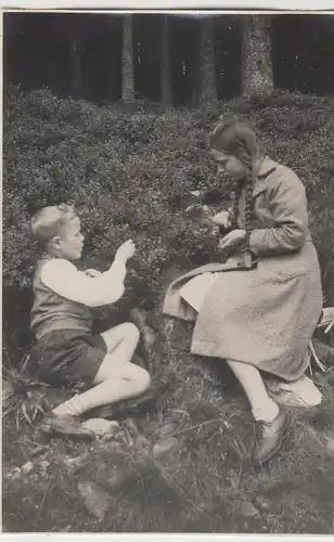 (F18264) Orig. Foto Kinder am Waldesrand im Schwarzwald 1936