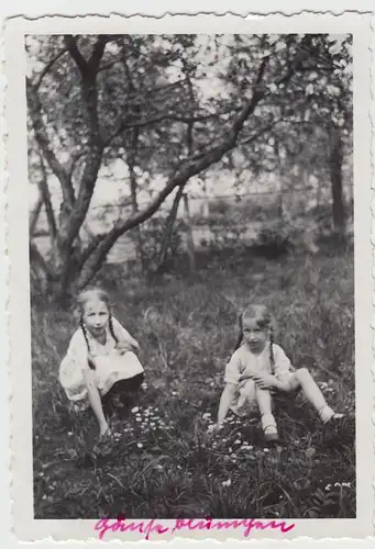 (F18178) Orig. Foto kleine Mädchen sitzen auf Wiese m. Gänseblümchen 1936