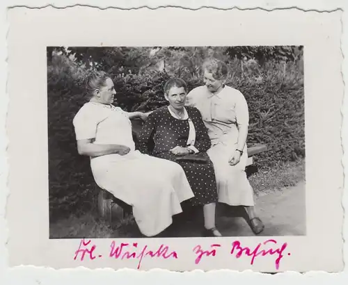 (F18176) Orig. Foto Frauen sitzen auf einer Parkbank 1936