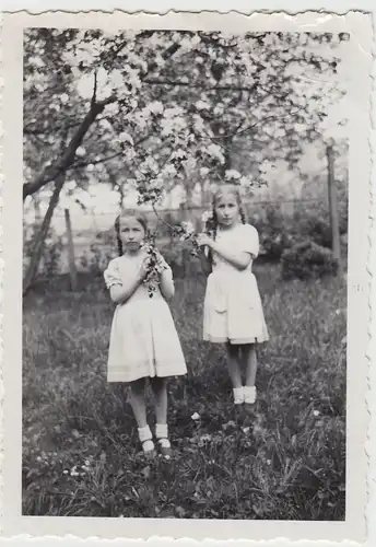 (F18173) Orig. Foto kleine Mädchen am blühenden Obstbaum 1936