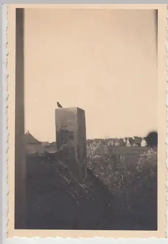 (F18169) Orig. Foto Bad Salzuflen, Vogel auf einem Schornstein 1936