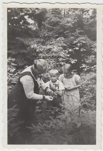 (F18157) Orig. Foto ältere Dame mit Kindern in der Natur 1936