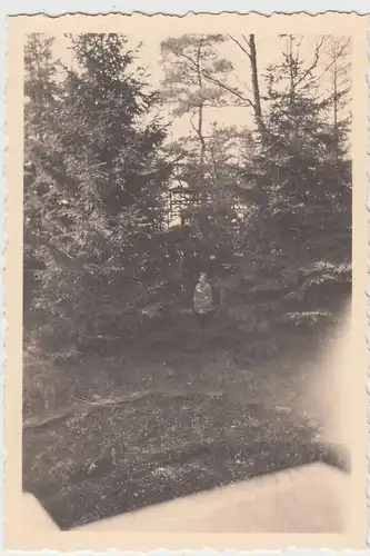 (F18147) Orig. Foto Kind im Garten, möglw. Haus Bethge i. Oerlinghausen 1936