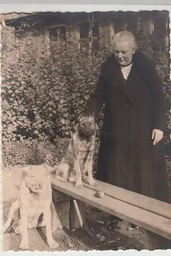 (F18112) Orig. Foto Frau mit 2 Hunden auf Bank 1930er
