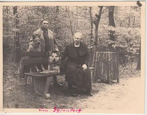 (F18109) Orig. Foto Herne, Frauen m. Hunden auf Parkbank in Gysenberg 1920er