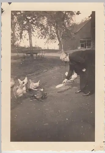 (F18084) Orig. Foto Herne Gysenberg, Frau füttert Hühner 1930er