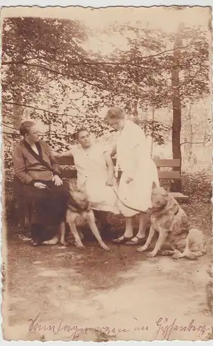 (F18054) Orig. Foto Herne, Frauen mit Hunden in Gysenberg, 1920/30er