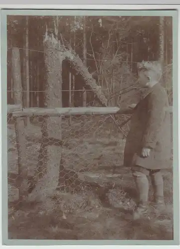 (F18029) Orig. Foto Kind betrachtet abgebrochenen Baum nach Sturm 1930er