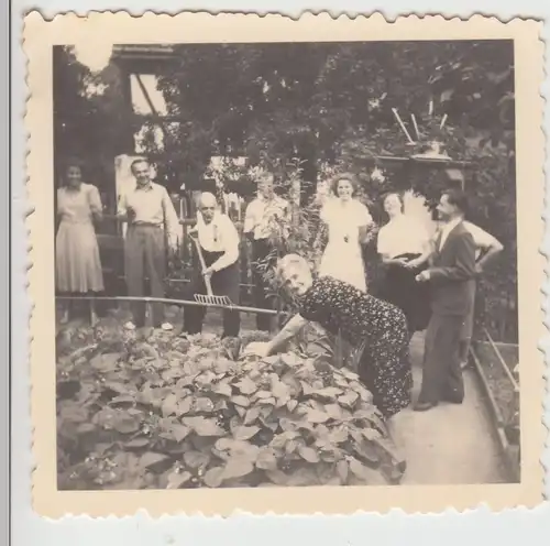 (F17990) Orig. Foto Personen an einem Beet im Garten, DDR 1950er