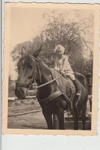 (F17982) Orig. Foto Kleinkind sitzt auf Pferd 1940er