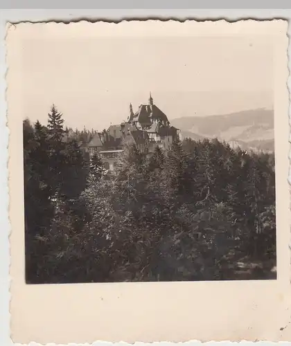 (F17904) Orig. Foto Schloss Reichenau an der Rax 1940er