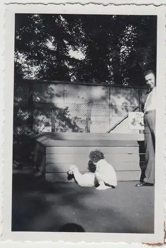 (F17771) Orig. Foto Leipziger Zoo 1934, Kind streichelt junges Lama