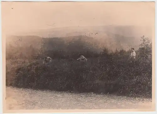 (F17710) Orig. Foto Wanderung >Abstieg von der Schmücke