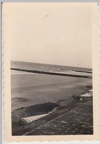 (F17570) Orig. Foto Borkum, Möwen am Strand 1938