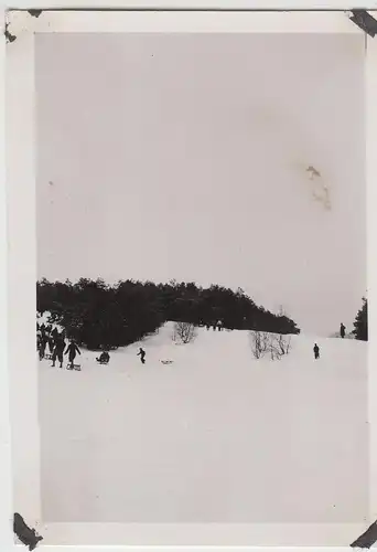 (F17559) Orig. Foto Winterlandschaft, Personen rodeln 1938