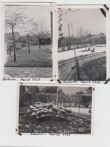 (F17557) 3x Orig. Foto Garten m. Gartenzwerg u. künstl. Hirsch 1938